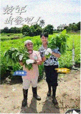 明星大侦探 丫丫电影免费版在线看